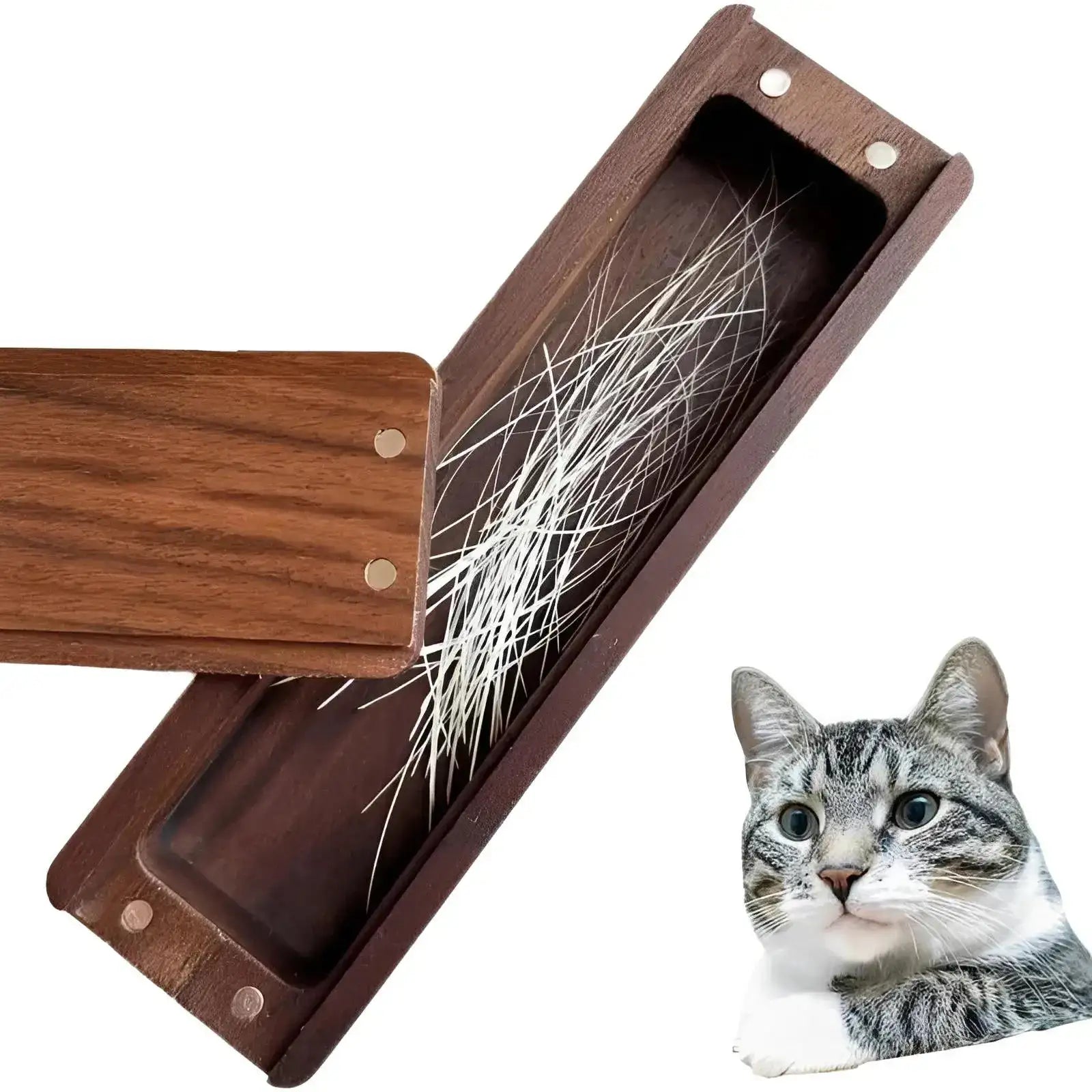 Elegant Walnut Wood Cat Whisker Storage Box - Eternal Whiskers